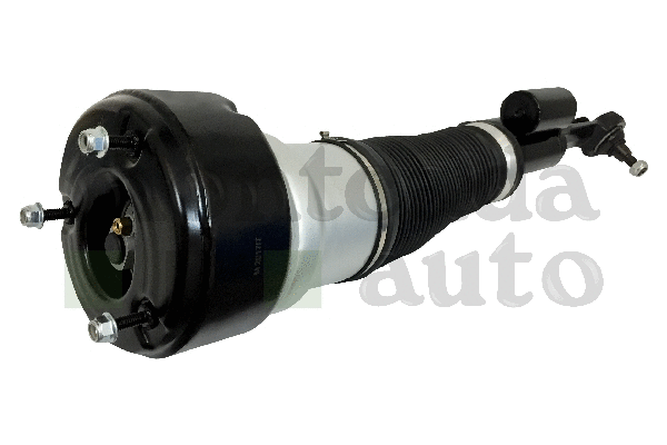 Air Suspension Strut