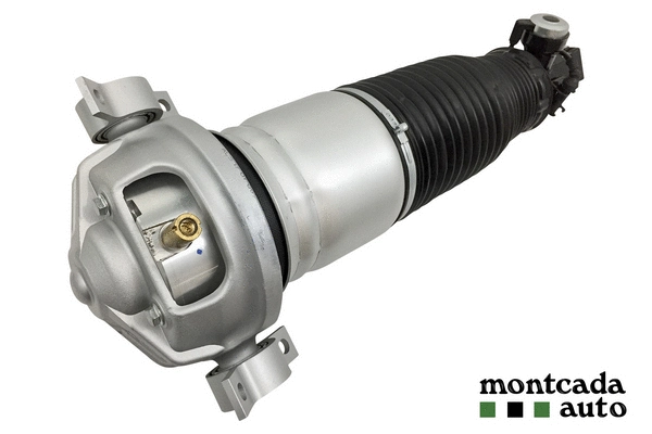 Air Suspension Strut