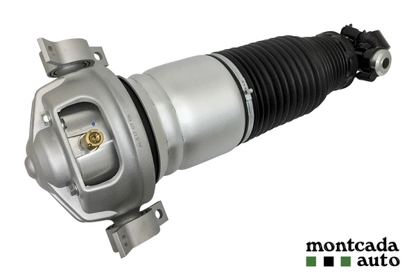 Air Suspension Strut