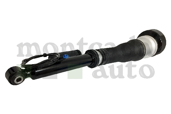 Air Suspension Strut