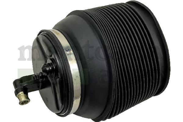 Air Spring, suspension (0296380)