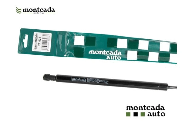 Gas Spring, boot/cargo area (RFI035)