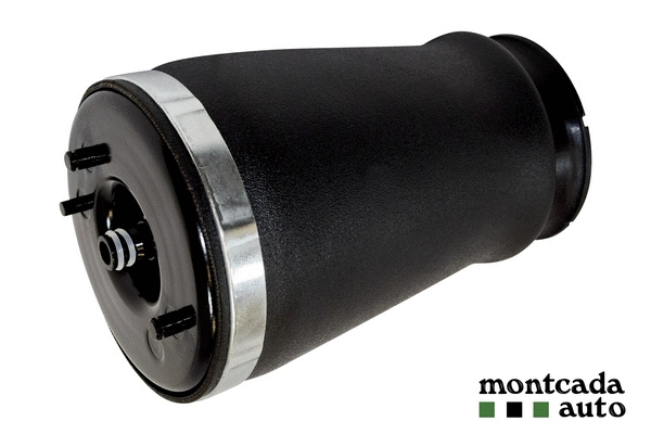 Air Spring, suspension (0296300)