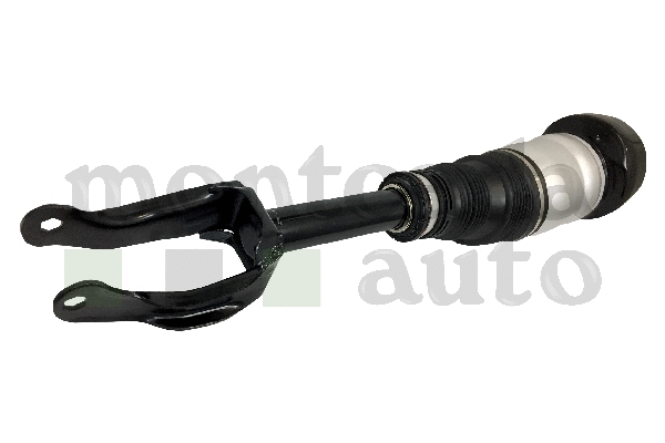 Air Suspension Strut