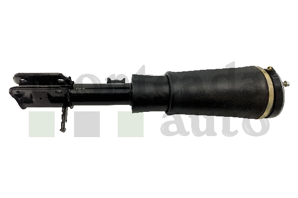 Air Suspension Strut (0296420)