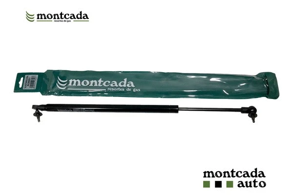 Gas Spring, boot/cargo area