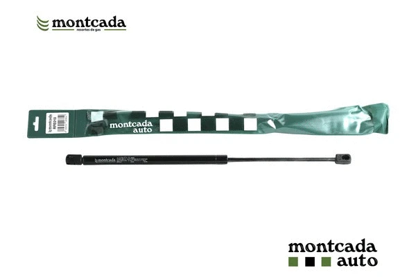 Gas Spring, boot/cargo area