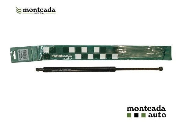 Gas Spring, boot/cargo area