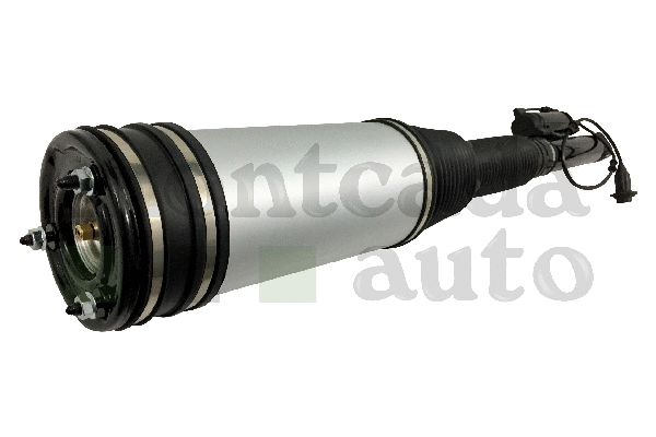 Air Suspension Strut
