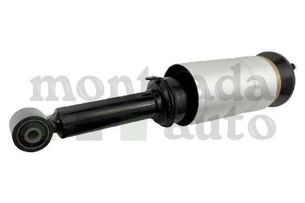 Air Suspension Strut