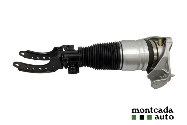 Air Suspension Strut (0296920)