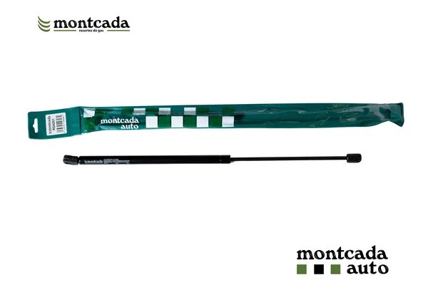 Gas Spring, boot/cargo area