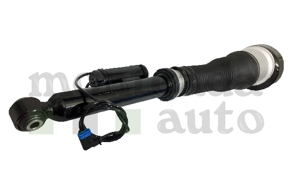 Air Suspension Strut