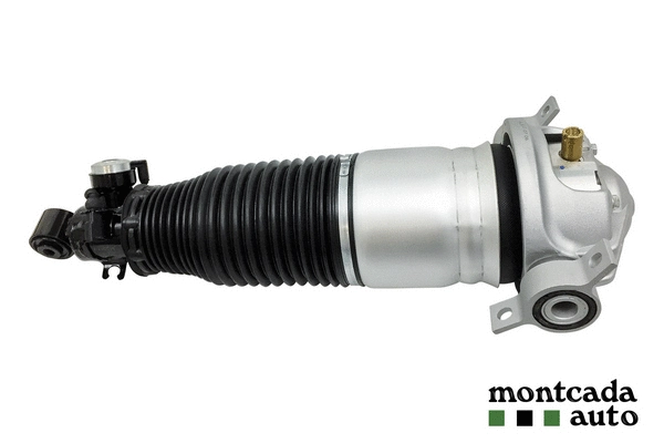 Air Suspension Strut (0296950)