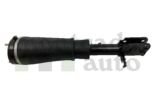 Air Suspension Strut