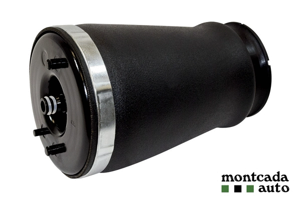 Air Spring, suspension (0296310)