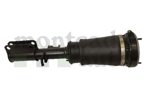 Air Suspension Strut (0296900)