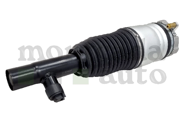 Air Suspension Strut