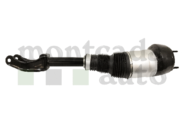 Air Suspension Strut (0296880)