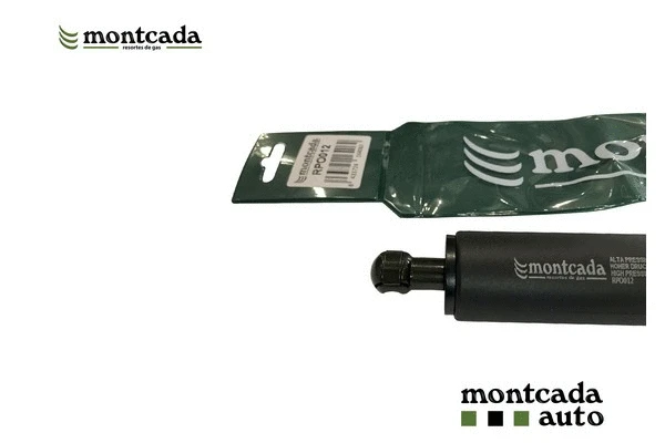 Gas Spring, boot/cargo area (RPO012)