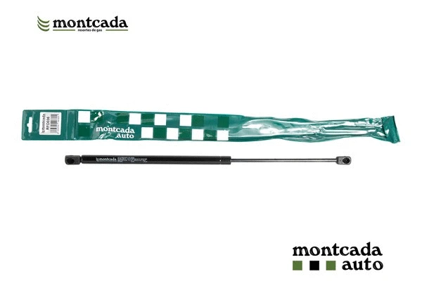 Gas Spring, boot/cargo area