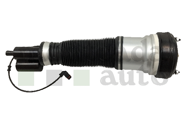 Air Suspension Strut (0296510)