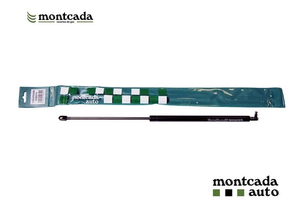 Gas Spring, boot/cargo area