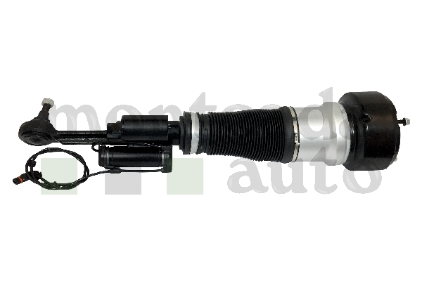 Air Suspension Strut (0296165)