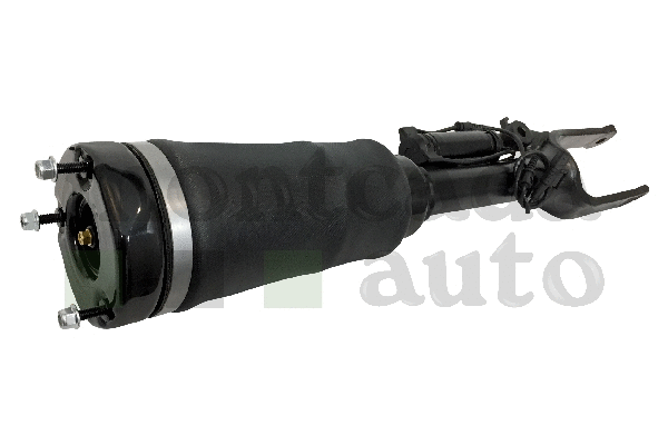 Air Suspension Strut