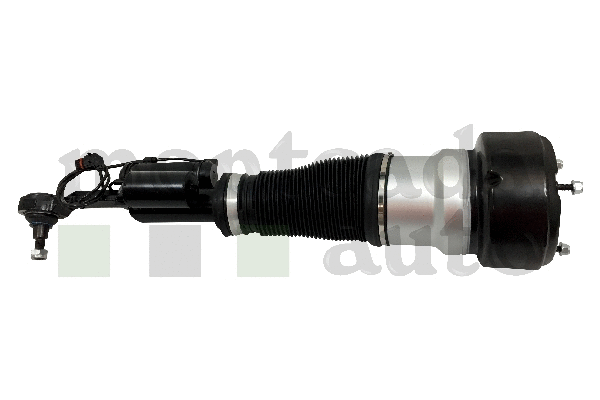 Air Suspension Strut (0296175)