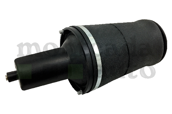 Air Spring, suspension (0296350)