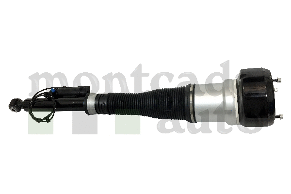 Air Suspension Strut (0296155)