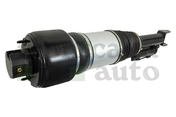 Air Suspension Strut