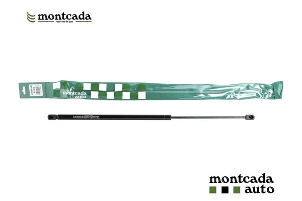 Gas Spring, boot/cargo area