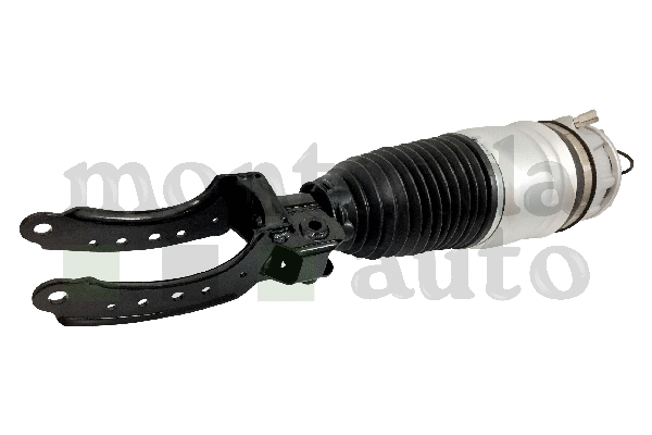 Air Suspension Strut