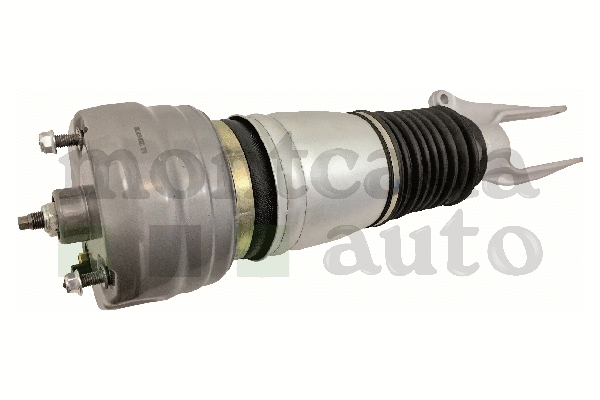 Air Suspension Strut