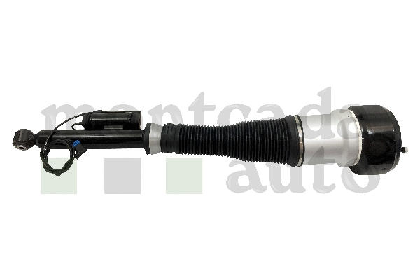 Air Suspension Strut (0296145)
