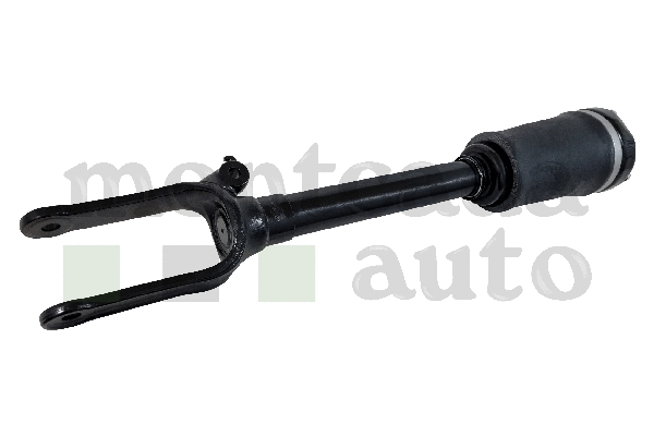 Air Suspension Strut