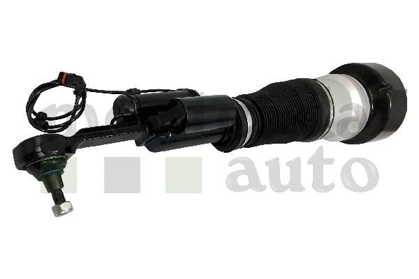 Air Suspension Strut