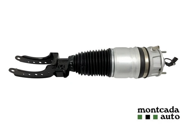 Air Suspension Strut (0296970)