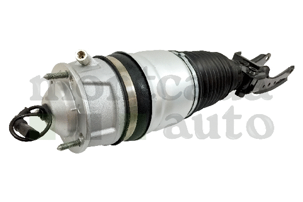 Air Suspension Strut