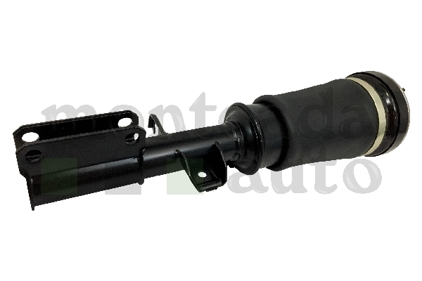 Air Suspension Strut