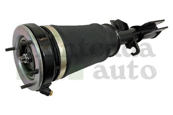 Air Suspension Strut