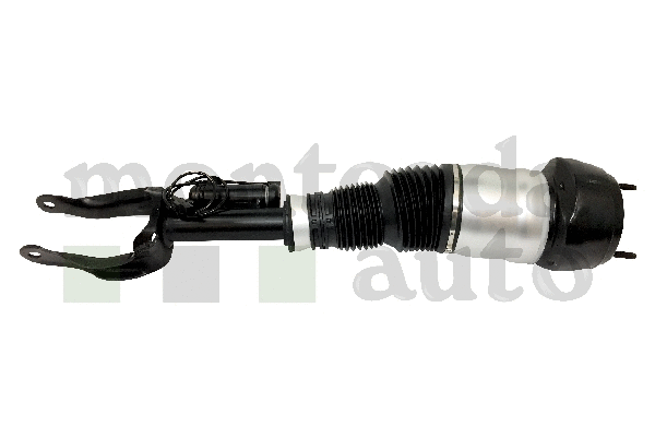 Air Suspension Strut (0296870)