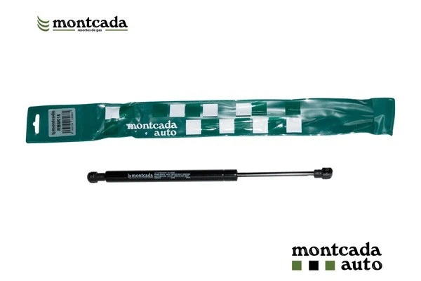 Gas Spring, boot/cargo area