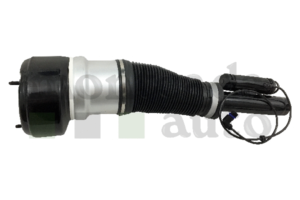Air Suspension Strut