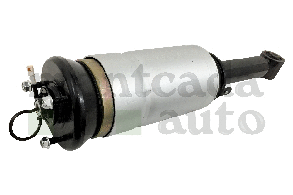 Air Suspension Strut