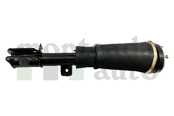 Air Suspension Strut (0296425)