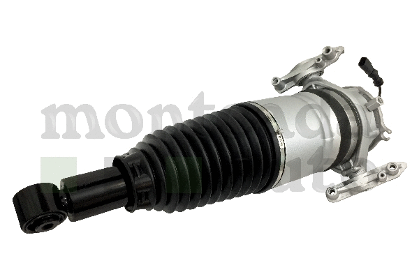 Air Suspension Strut