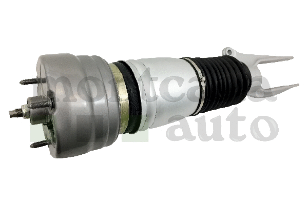 Air Suspension Strut